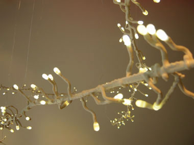 Snottebel / 2005 by Sylvain Willenz